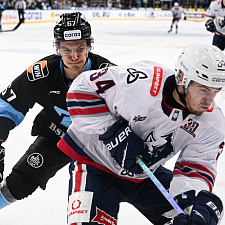 Динамо-Нефтехимик 36