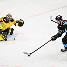 Динамо-Северсталь 65