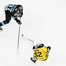 Динамо-Северсталь 15