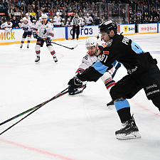 Динамо-Нефтехимик 100