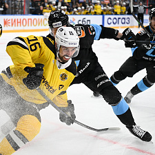 Динамо-Северсталь 10