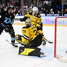 Динамо-Северсталь 43