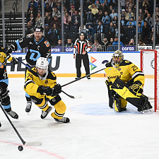 Динамо-Северсталь 35