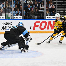 Динамо-Северсталь 50