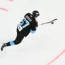 Динамо-Северсталь 13