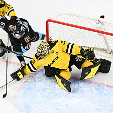 Динамо-Северсталь 25