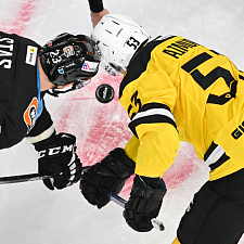 Динамо-Северсталь 28