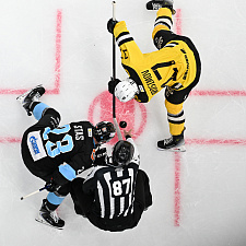 Динамо-Северсталь 14