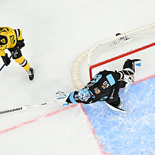 Динамо-Северсталь 17