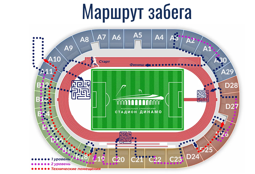 Стадион динамо схема стадиона