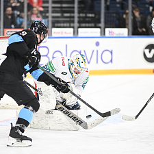 Hockey 23