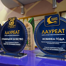 Вытокi Светлогорск 19