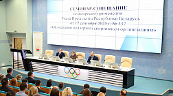 Belarus’ NOC discusses support measures for sports organizations