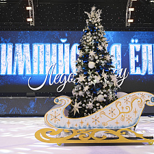 Олимпийская Елка 2025 2763