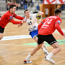 Handball 19
