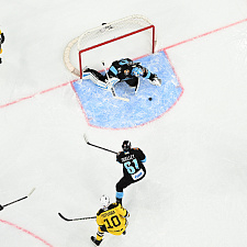 Подборка лучших фото сезона 31