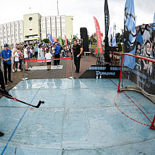 Vytoki 290