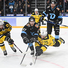 Подборка лучших фото сезона 37