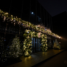 Олимпийская Елка 2025 20