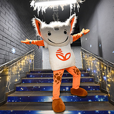 Олимпийская Елка 2025 54