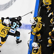 Подборка лучших фото сезона 28