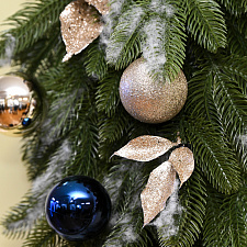 Наши дети 30